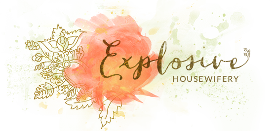 Explosive Housewifery - Writings by Autumn Krouse